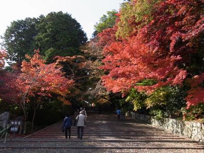 京都・光明寺（正門を入ったところ）